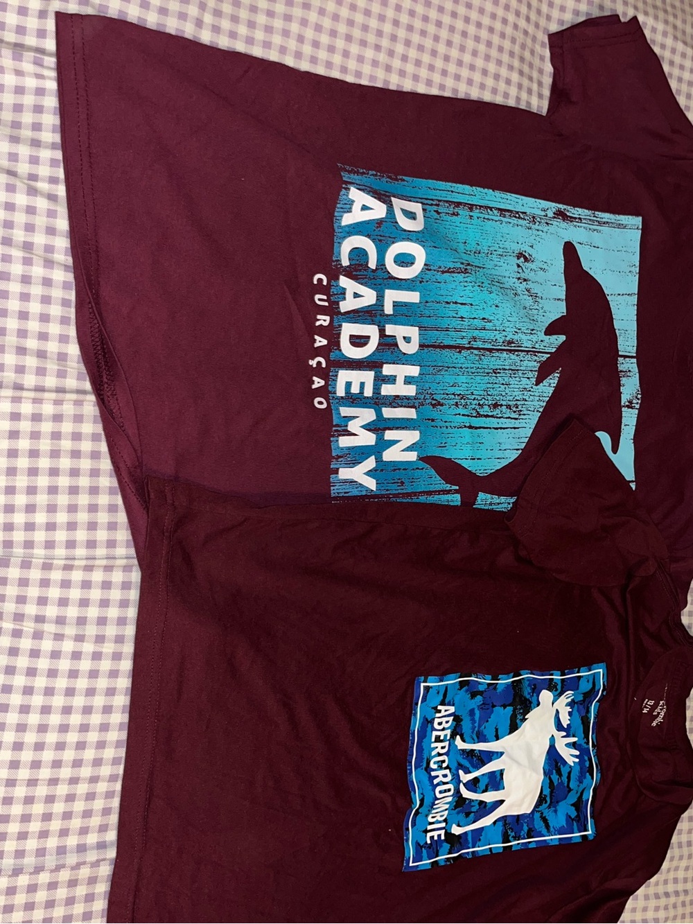 abercrombie kids Maroon Graphic Dolphin & Moose Tee